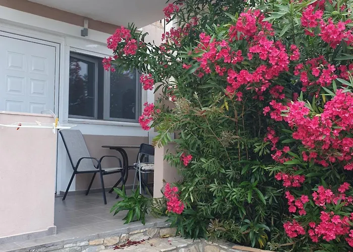 Ξενοδοχείο Maraki Thimonia